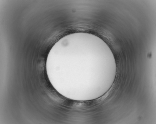X0000091290174200708101034
