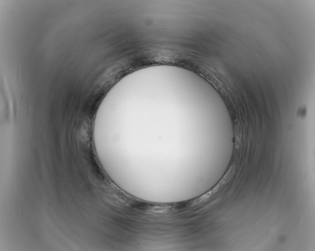 X0000091290175200708101034
