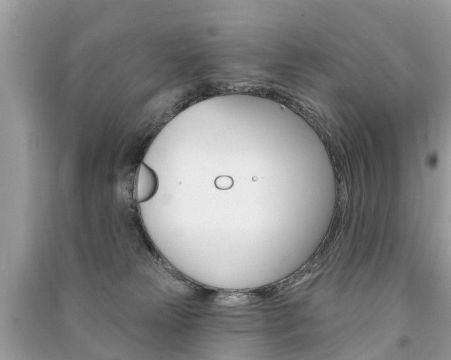 X0000091290181200708101034