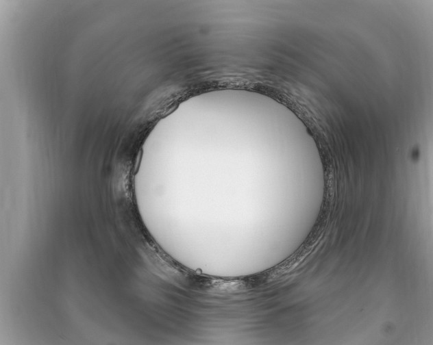 X0000091290185200708101034