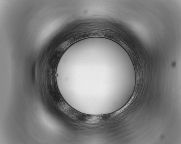X0000091290191200708101034
