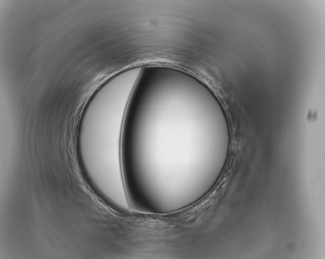 X0000091290193200708101033