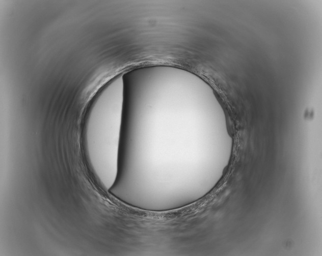 X0000091290194200708101033