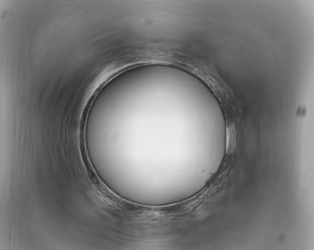 X0000091290195200708101033