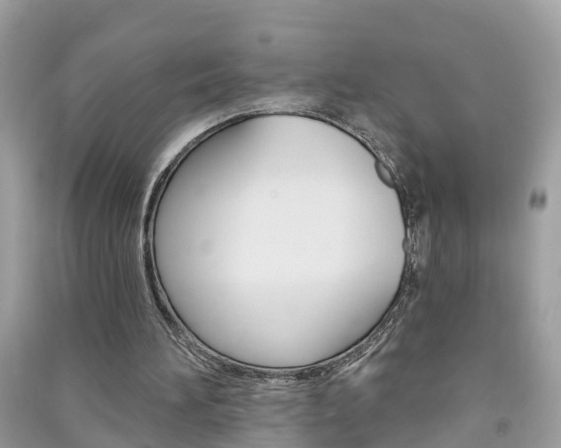 X0000091290196200708101033