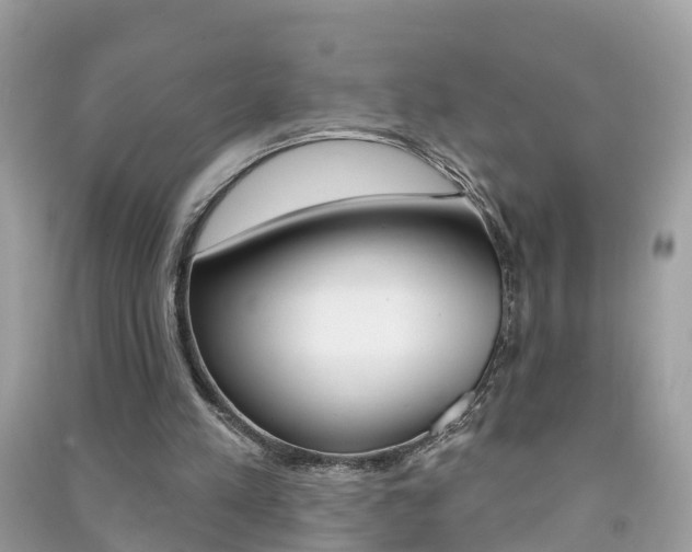 X0000091290197200708101033