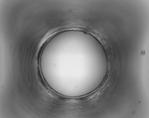 X0000091290198200708101033