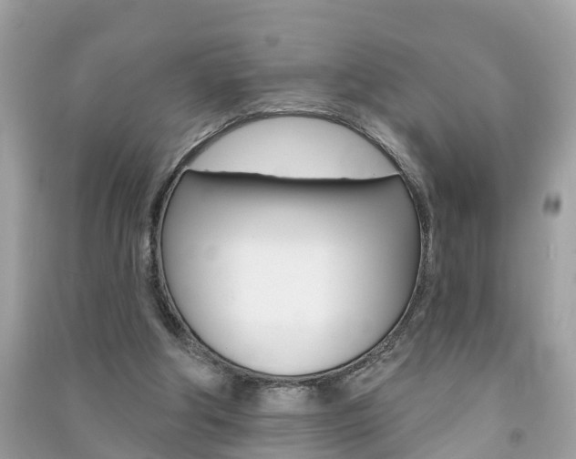 X0000091290202200708101033