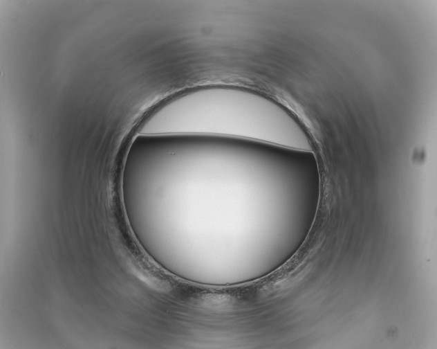 X0000091290203200708101033