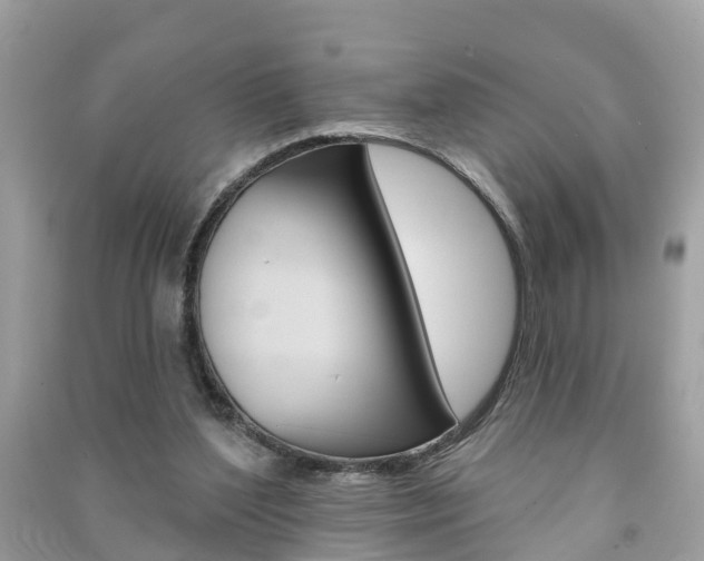 X0000091290204200708101033