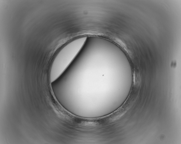 X0000091290205200708101033