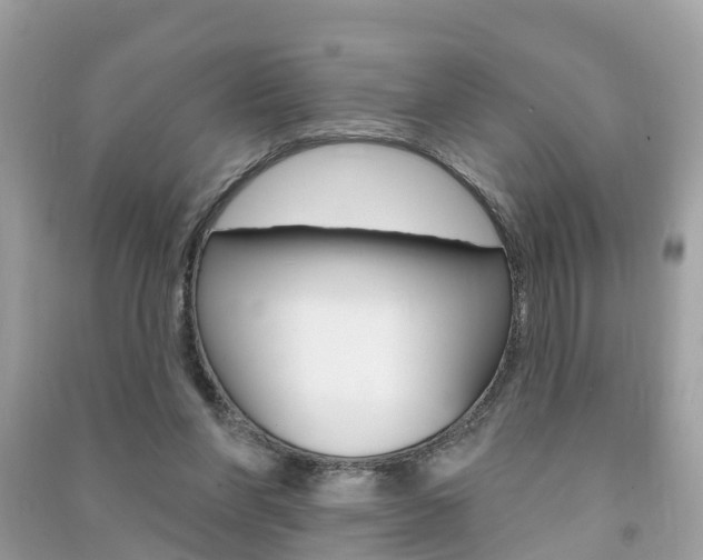 X0000091290206200708101033