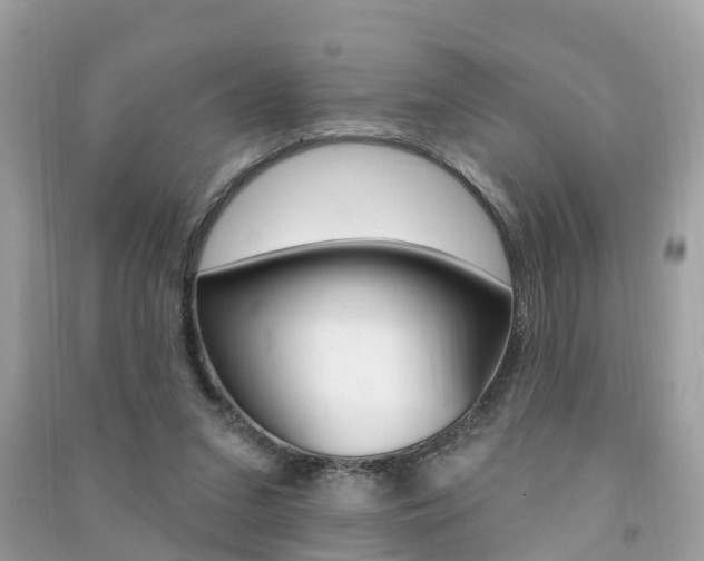 X0000091290207200708101033