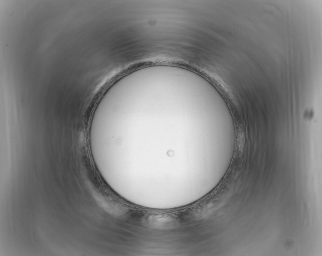 X0000091290208200708101033