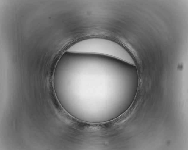 X0000091290209200708101033