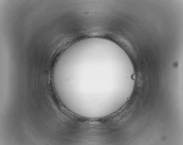X0000091290210200708101033