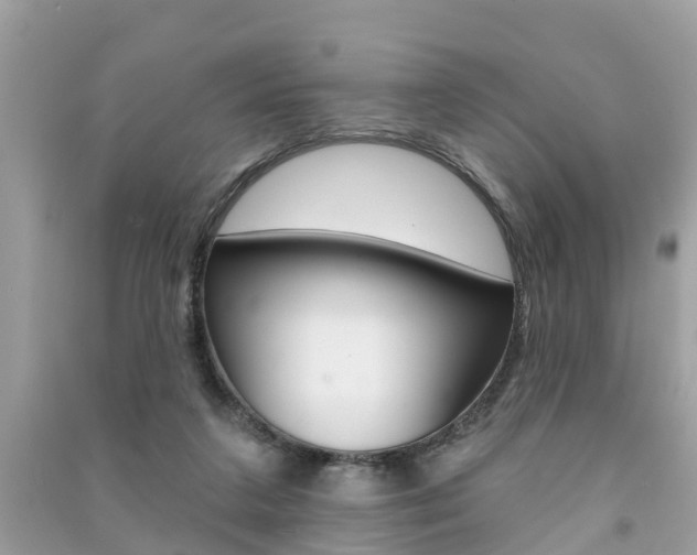 X0000091290211200708101033