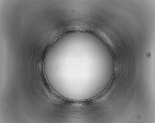 X0000091290213200708101033