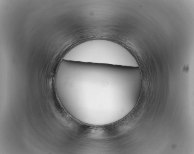 X0000091290214200708101033