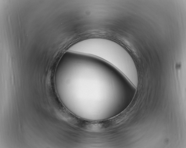 X0000091290217200708101033