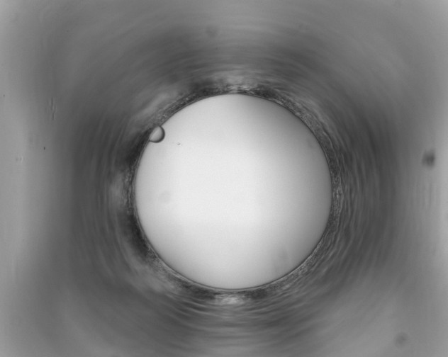 X0000091290218200708101033