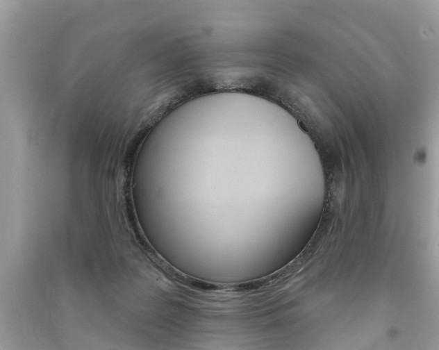 X0000091290219200708101033