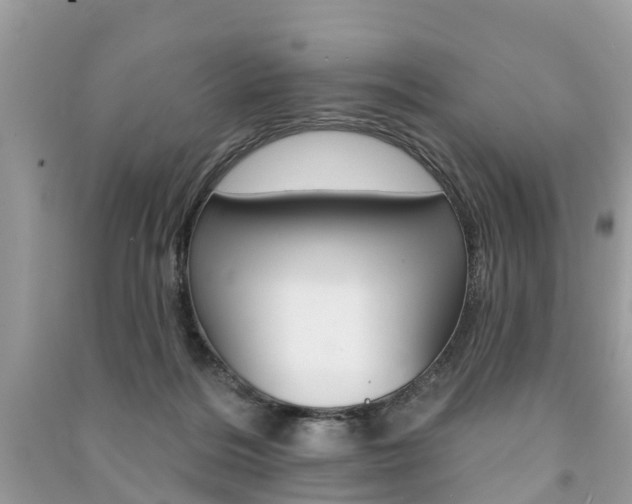X0000091290220200708101033