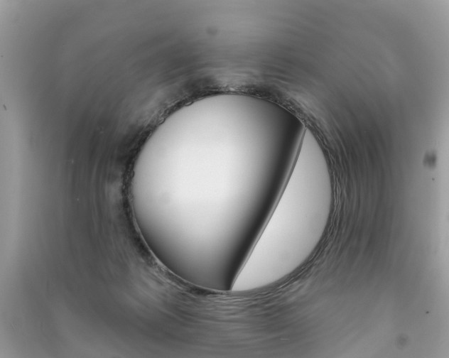 X0000091290221200708101033