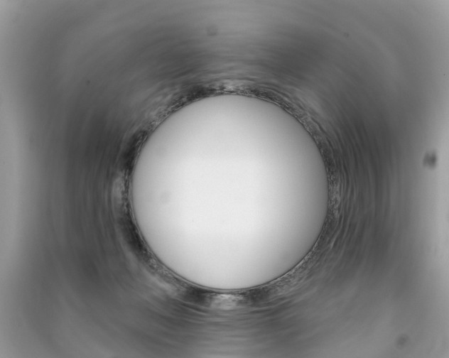 X0000091290222200708101033