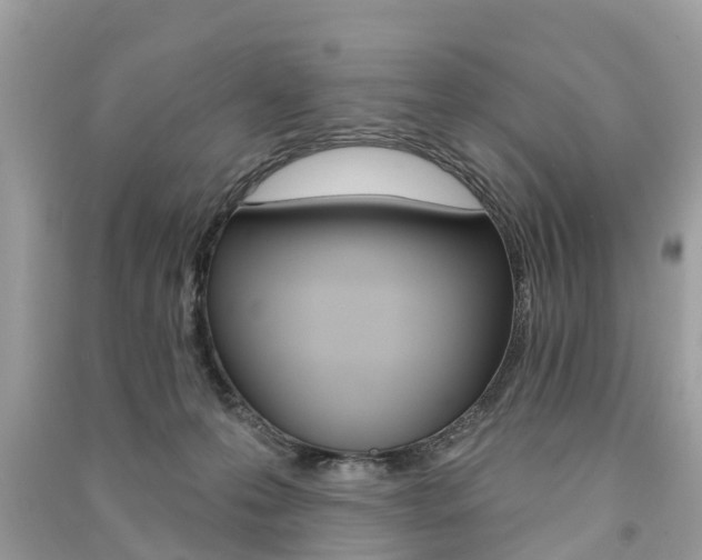 X0000091290223200708101033
