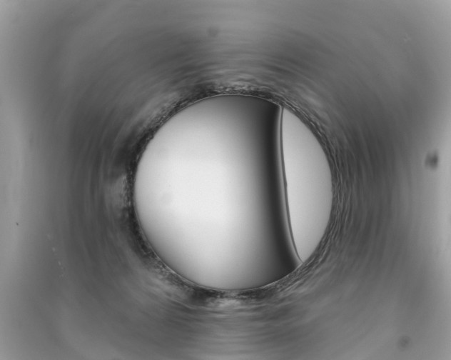 X0000091290224200708101033