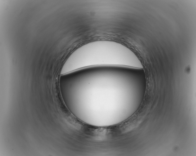 X0000091290225200708101033