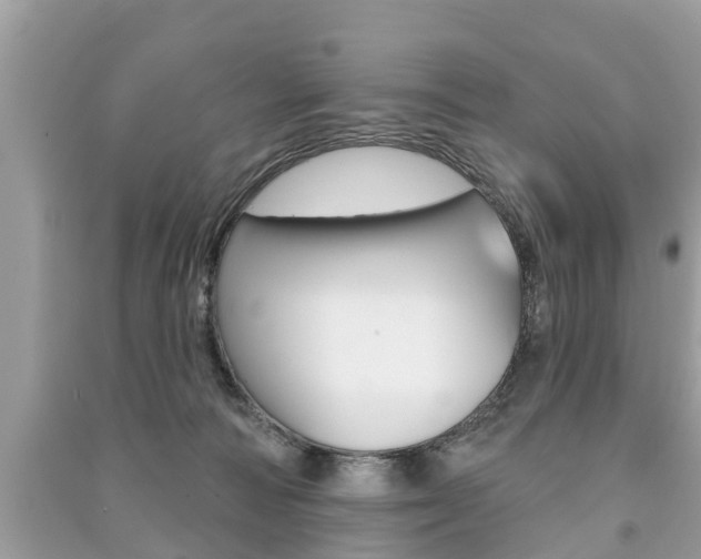 X0000091290226200708101033