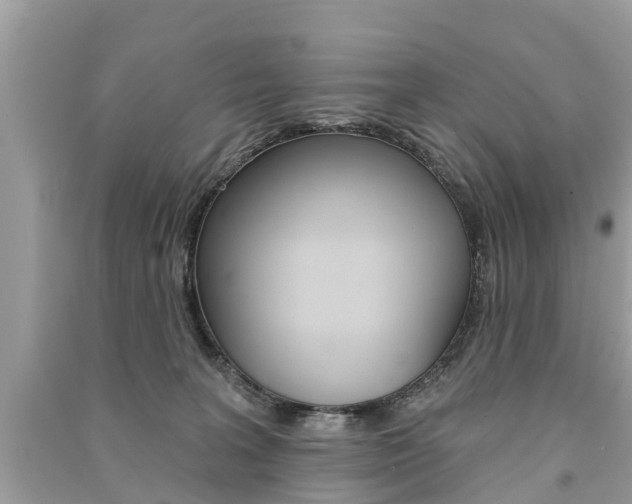 X0000091290227200708101033