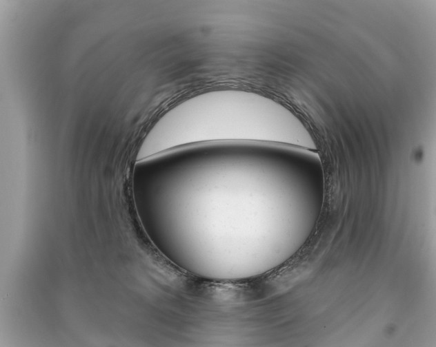 X0000091290229200708101033
