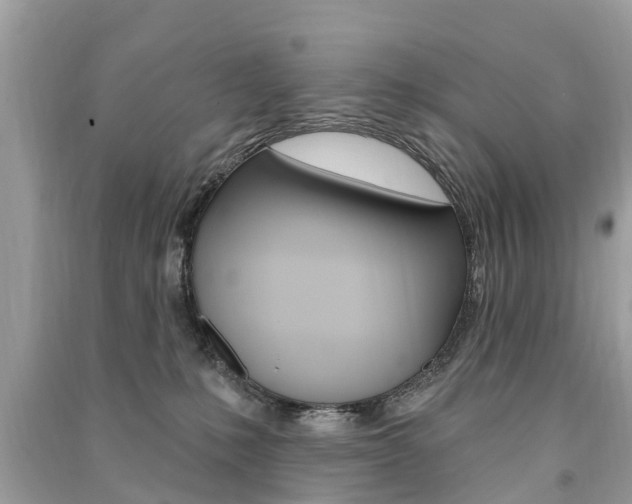 X0000091290231200708101033
