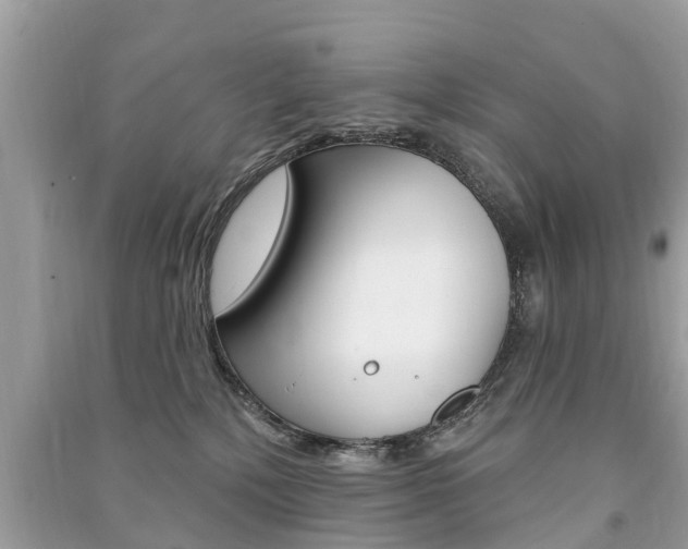 X0000091290232200708101033