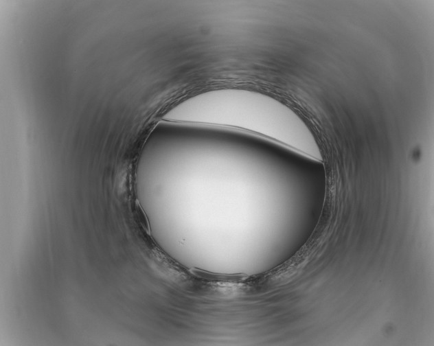 X0000091290233200708101033