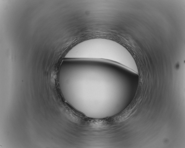 X0000091290235200708101033