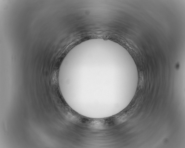 X0000091290236200708101033