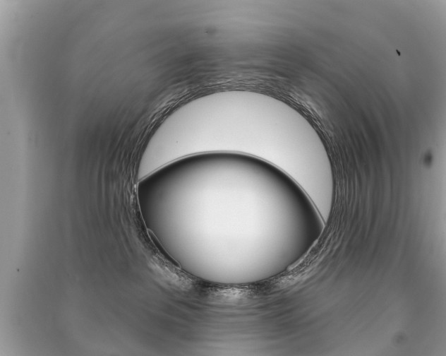 X0000091290237200708101033