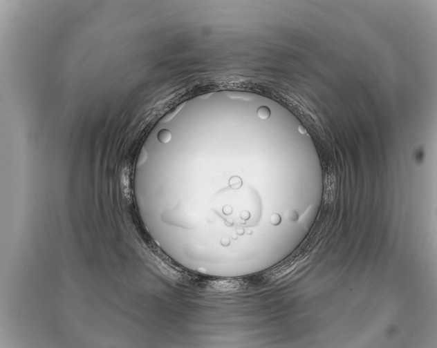 X0000091290238200708101033