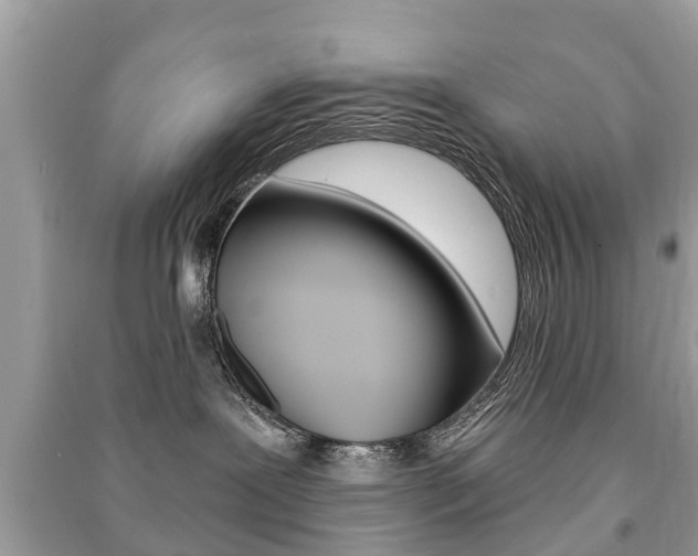 X0000091290239200708101033