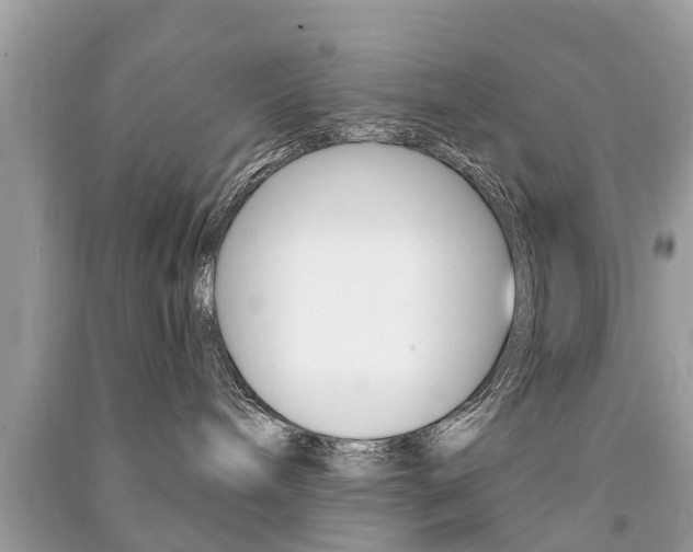 X0000091290240200708101033