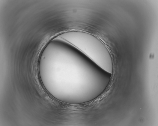 X0000091290241200708101032