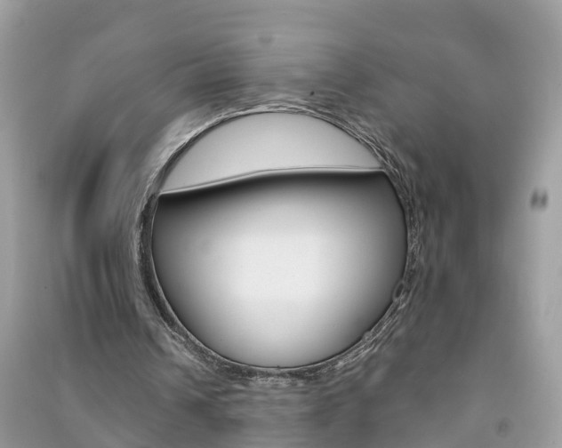 X0000091290242200708101032