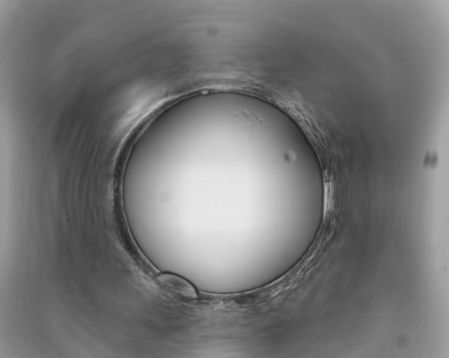 X0000091290243200708101032