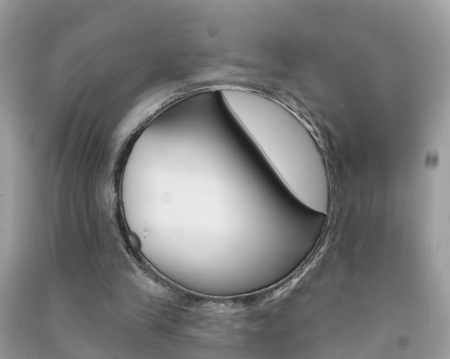 X0000091290245200708101032