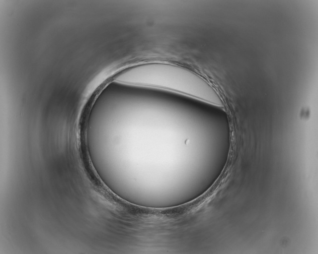 X0000091290246200708101032