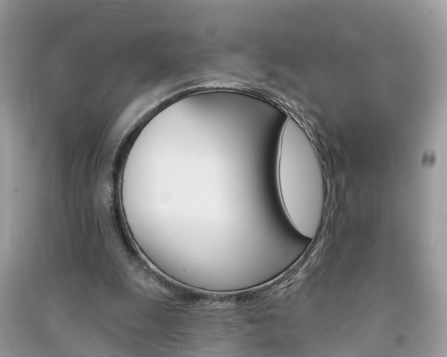 X0000091290247200708101032